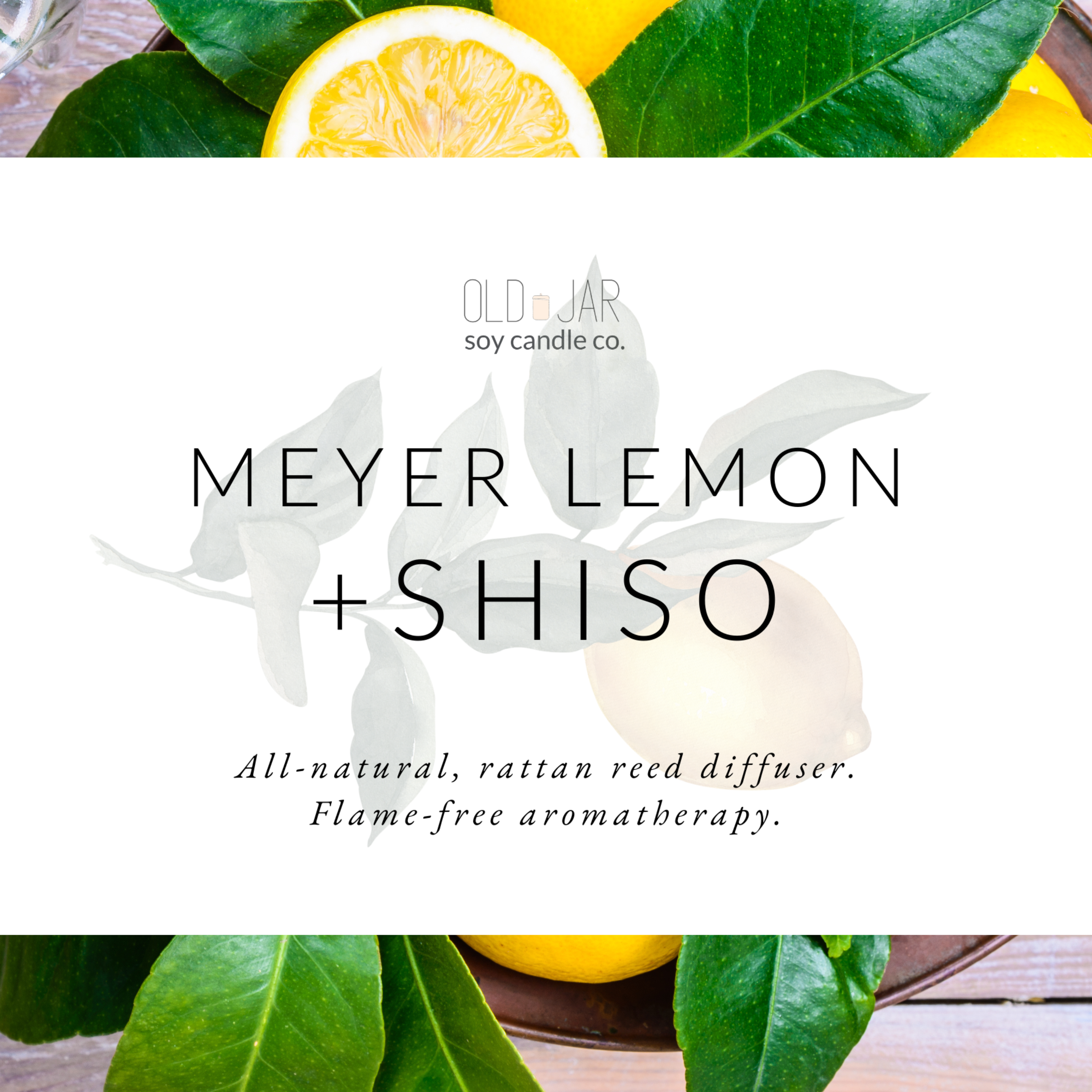 Meyer Lemon + Shiso Diffuser