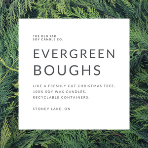 Evergreen Boughs Soy Candle
