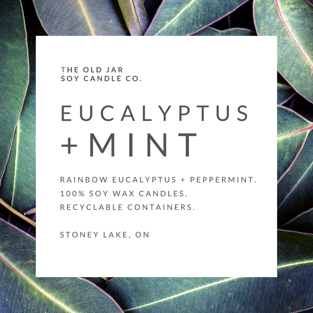 Eucalyptus + Mint Medley Soy candle