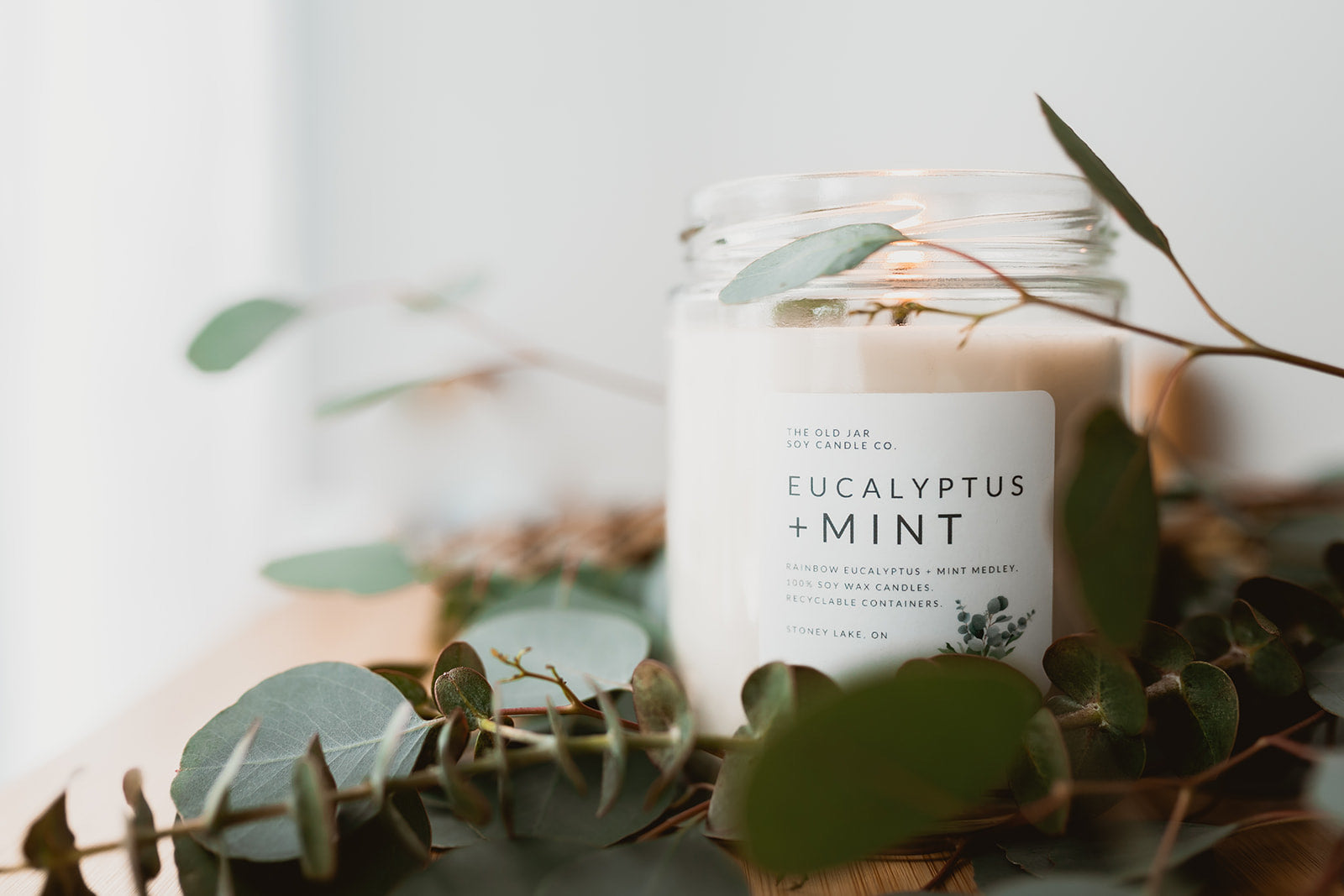 Eucalyptus + Mint Medley Soy candle